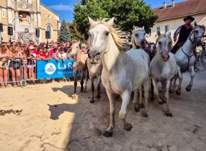 feria_de_Marboz_2025_83