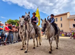 feria_de_Marboz_2025_84