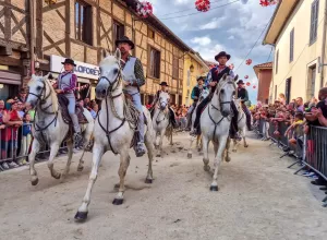 feria_de_Marboz_2025_88