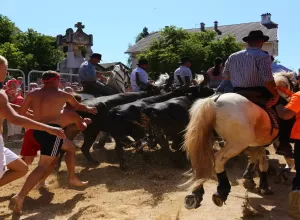 Feria_de_Marboz_2022_22