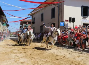 Feria_de_Marboz_2022_23