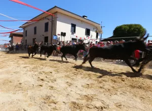 Feria_de_Marboz_2022_24