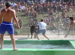 Feria_de_Marboz_2022_47