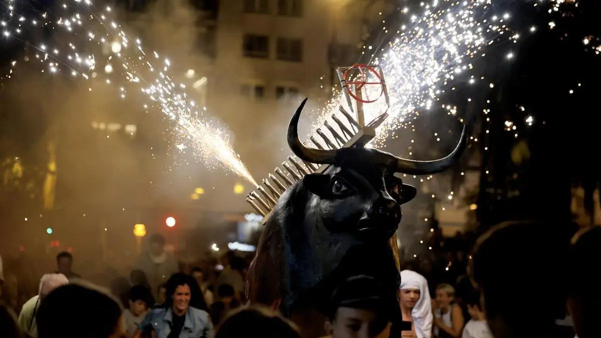 toro fuego