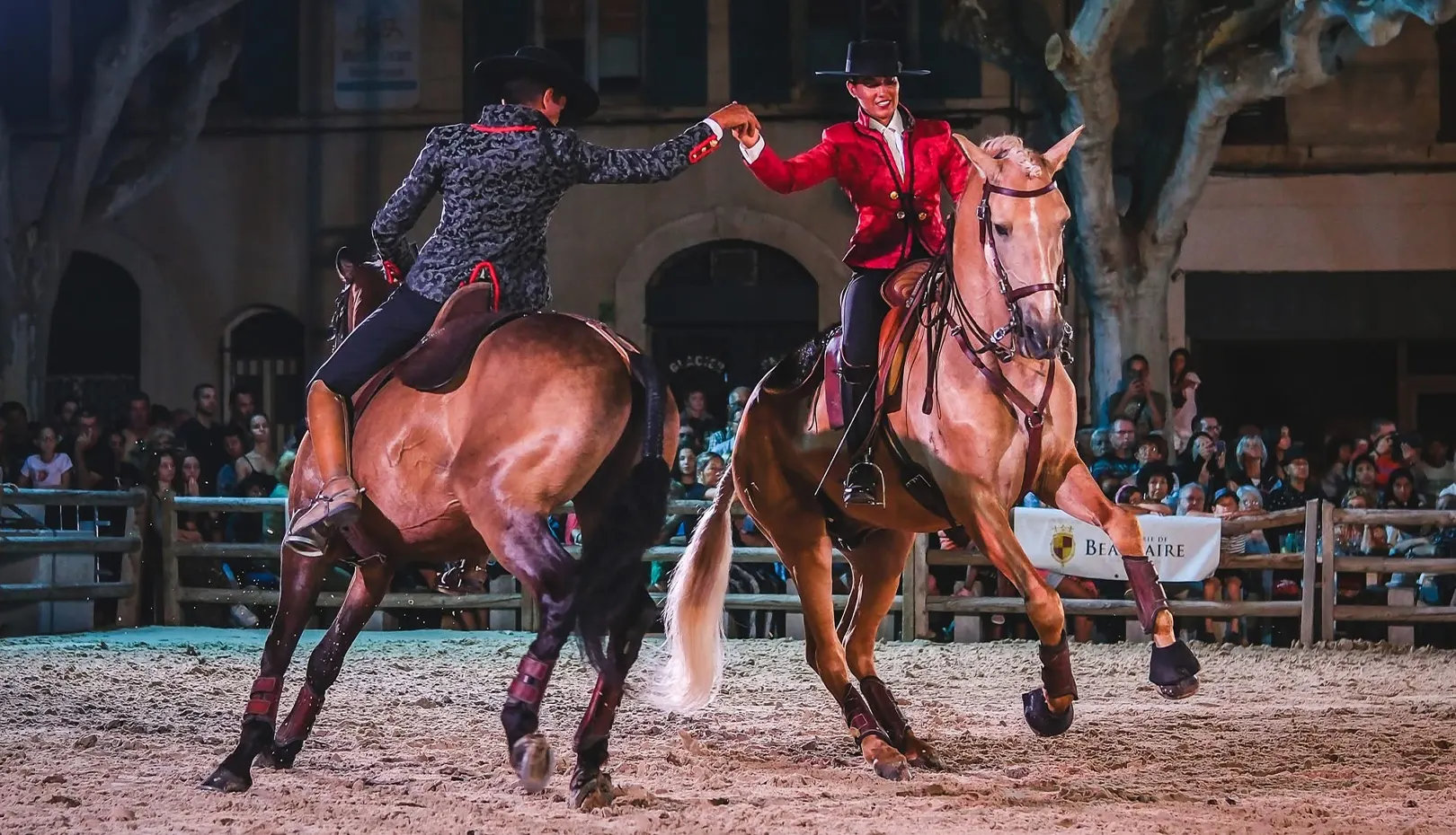 troupe volt&eacute;o spectacle equestre