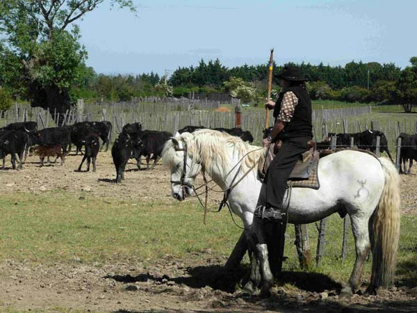 manade bilhau