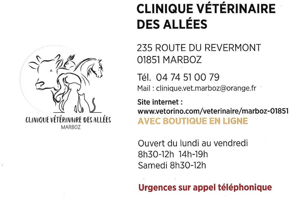 clinique veterinaire des allées marboz
