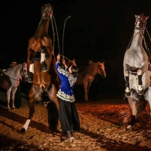 spectacle equestre troupe voltéo samedi feria 2026