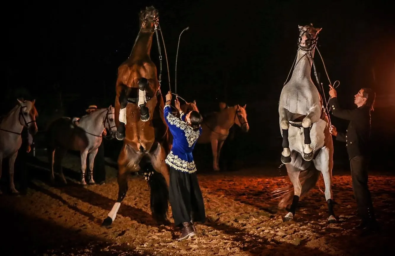 spectacle equestre troupe volt&eacute;o samedi feria 2026