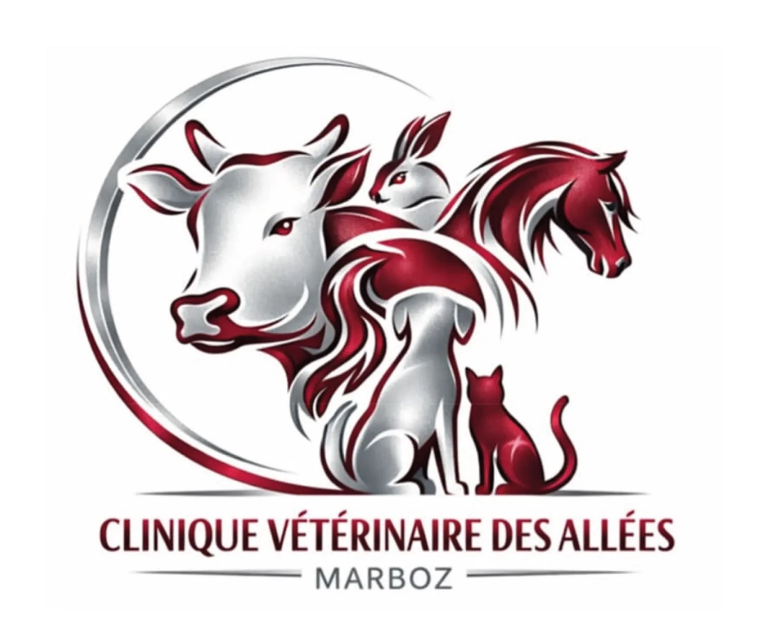Clinique vétérinaire des allées